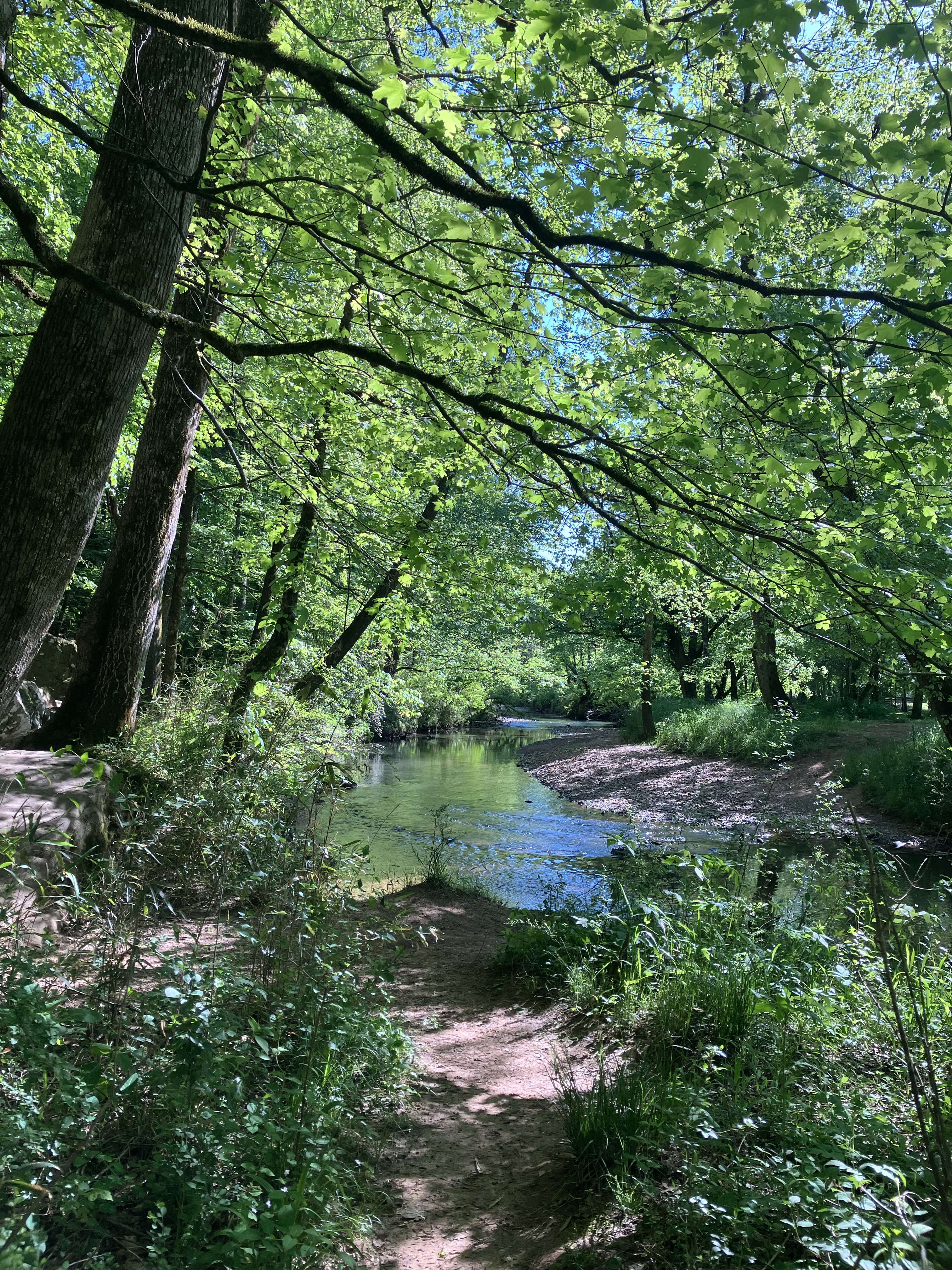 Cahaba River Tree Trail Home Page – Friends of Pinchgut Creek